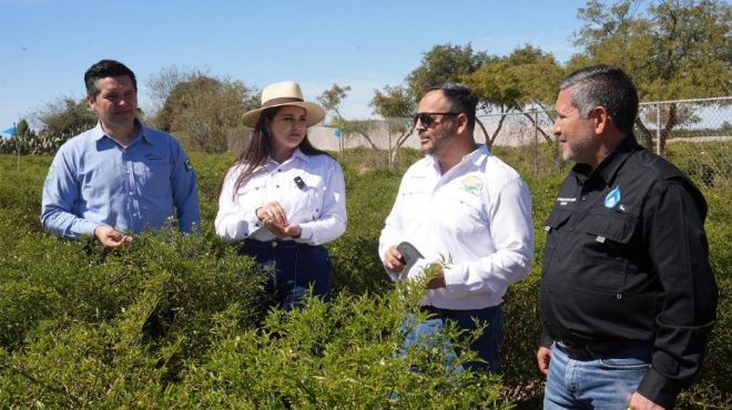 Foto ilustrativa de nota Gobierno de Sonora conmemora a los agrónomos en la Universidad Tecnológica de Etchojoa