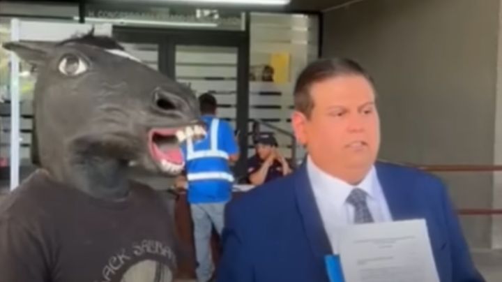 ¿Se creará la Ley Therian? Joven que se identifica cómo caballo promueve que se les proteja legalmente