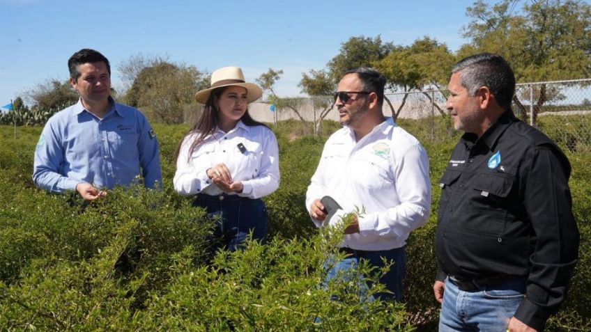 Gobierno de Sonora conmemora a los agrónomos en la Universidad Tecnológica de Etchojoa