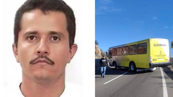 Reactivan vuelos y autobuses en Guadalajara y Puerto Vallarta tras caída de 'El Mencho'; lista ACTUALIZADA