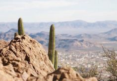 Foto ilustrativa de nota Clima Sonora HOY: Alertan mañana FRÍAS y tarde de hasta 34°C este MARTES 24 de febrero