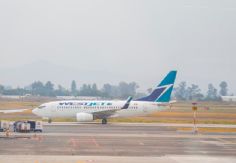 Foto ilustrativa de nota Operaciones aéreas se restablecen en Jalisco: 96% en Guadalajara y 95% en Puerto Vallarta