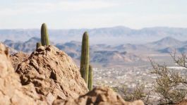 Foto que representa a Clima Sonora HOY: Alertan mañana FRÍAS y tarde de hasta 34°C este MARTES 24 de febrero