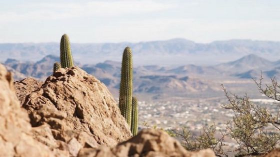 Clima Sonora HOY: Alertan mañana FRÍAS y tarde de hasta 34°C este MARTES 24 de febrero