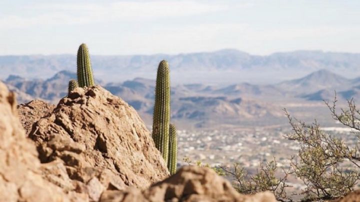 Clima Sonora HOY: Alertan mañana FRÍAS y tarde de hasta 34°C este MARTES 24 de febrero