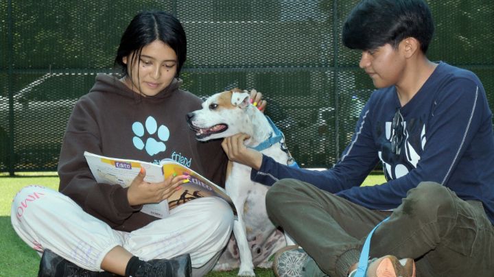 Realizarán congreso estatal de salud y bienestar humano-animal en Guaymas
