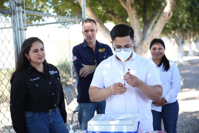 Célida López encabeza refuerzo de acciones preventivas contra el sarampión en campos agrícolas de Sonora