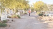 Foto ilustrativa de la nota titulada: Bosque Memorial, una propuesta ciudadana por reverdecer Hermosillo desde el antiguo Panteón Yáñez
