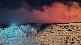 Foto que representa a (VIDEO) Fuego en vertedero de Tequila mantiene CONTINGENCIA ambiental en Guadalajara HOY 28 de febrero