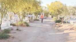 Foto que representa a Bosque Memorial, una propuesta ciudadana por reverdecer Hermosillo desde el antiguo Panteón Yáñez