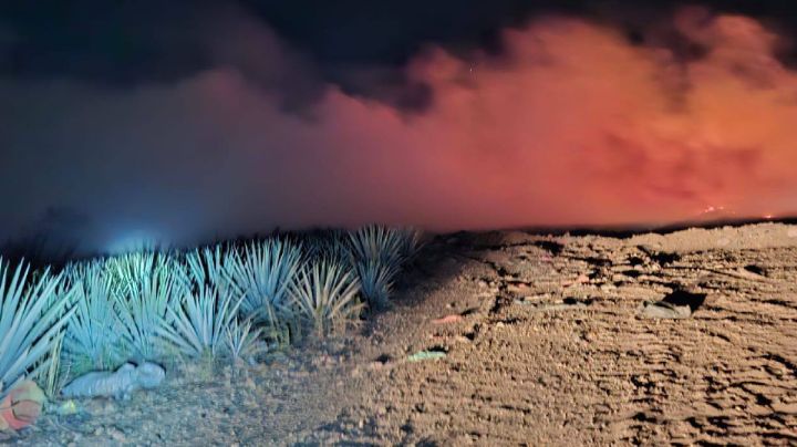 (VIDEO) Fuego en vertedero de Tequila mantiene CONTINGENCIA ambiental en Guadalajara HOY 28 de febrero