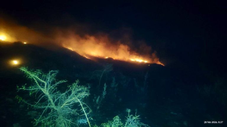 No se reportan heridos