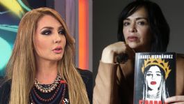 Foto que representa a ¿Anabel Hernández, irá a prisión? Paty Navidad da primeras declaraciones del proceso legal en su contra