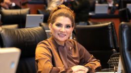 Foto que representa a El Senado es clave para el segundo piso de la 4T: Lorenia Valles Sampedro