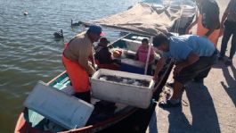 Foto que representa a Pescadores de Guaymas y Empalme urgen a contar con seguridad social; hay malas capturas