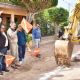 Por segundo día, Lamarque Cano da banderazo de inicio a obras de infraestructura sanitaria en Las Cortinas