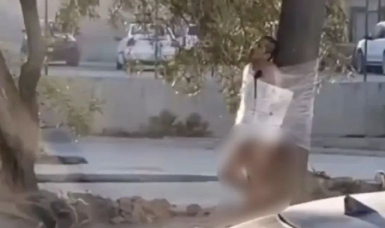 Los hechos ocurrieron este martes en Tijuana. Foto: Facebook