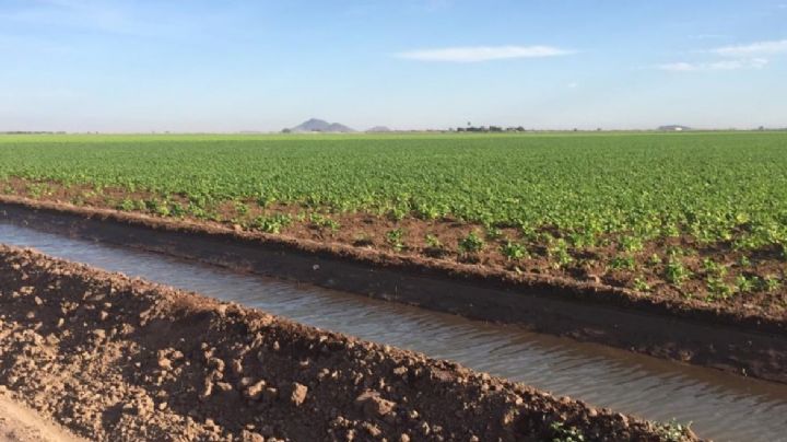 Impulsará Ayuntamiento de Hermosillo uso de agua tratada para áreas económicas