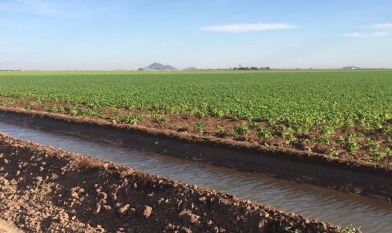 Impulsará Ayuntamiento de Hermosillo uso de agua tratada para áreas económicas