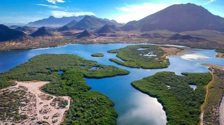 Sonora fortalece la investigación ecológica con nueva residencia en el Estero El Soldado