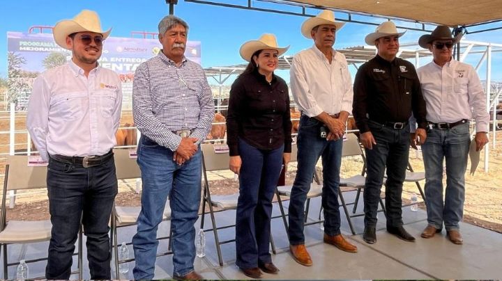 Aceleran modernización ganadera en Sonora con nueva entrega de sementales de registro