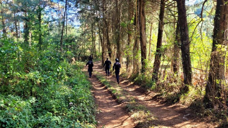 La violencia sigue en Michoacán 