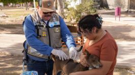 Foto que representa a Mascotas sanas, hogares sanos: Invitan a clínicas móviles en Sonora para evitar enfermedades zoonóticas