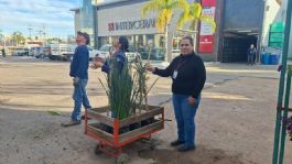 Foto que representa a Secretaría de Agricultura realiza verificaciones en viveros de Nogales para proteger sanidad vegetal