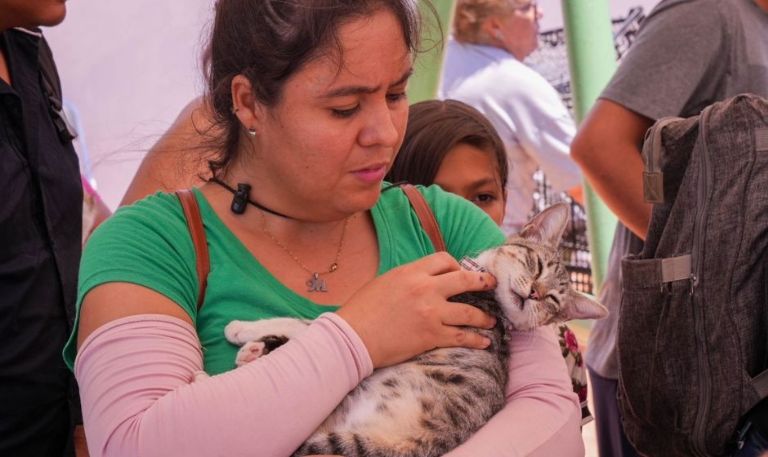 Mascotas sanas, hogares sanos: Invitan a clínicas móviles en Sonora para evitar enfermedades zoonóticas