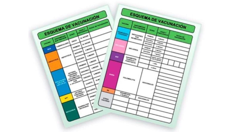 Sigue estos pasos para solicitar la reexpedición si perdiste tu cartilla de vacunación mexicana.