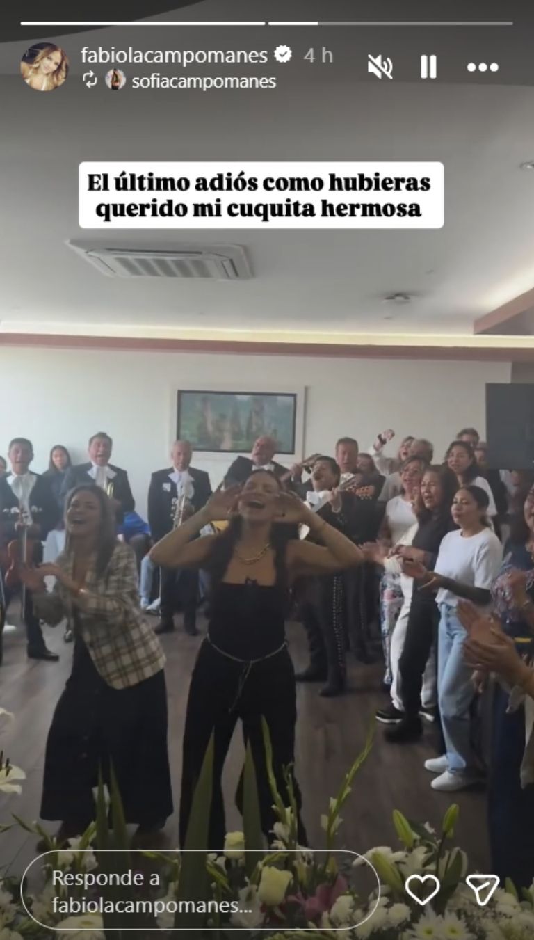 Historia de su Instagram 