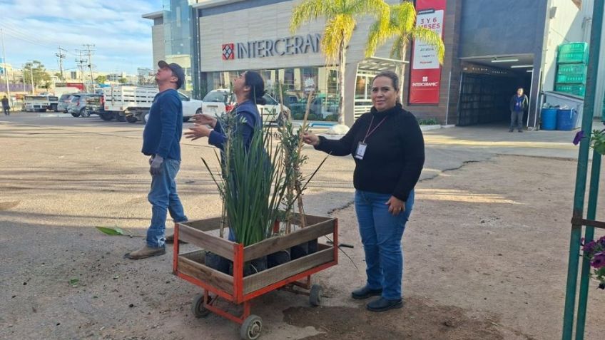 Secretaría de Agricultura realiza verificaciones en viveros de Nogales para proteger sanidad vegetal