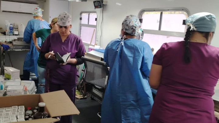 Desde la Unison en Sonora impulsan investigación en metalofármacos con potencial anticancerígeno