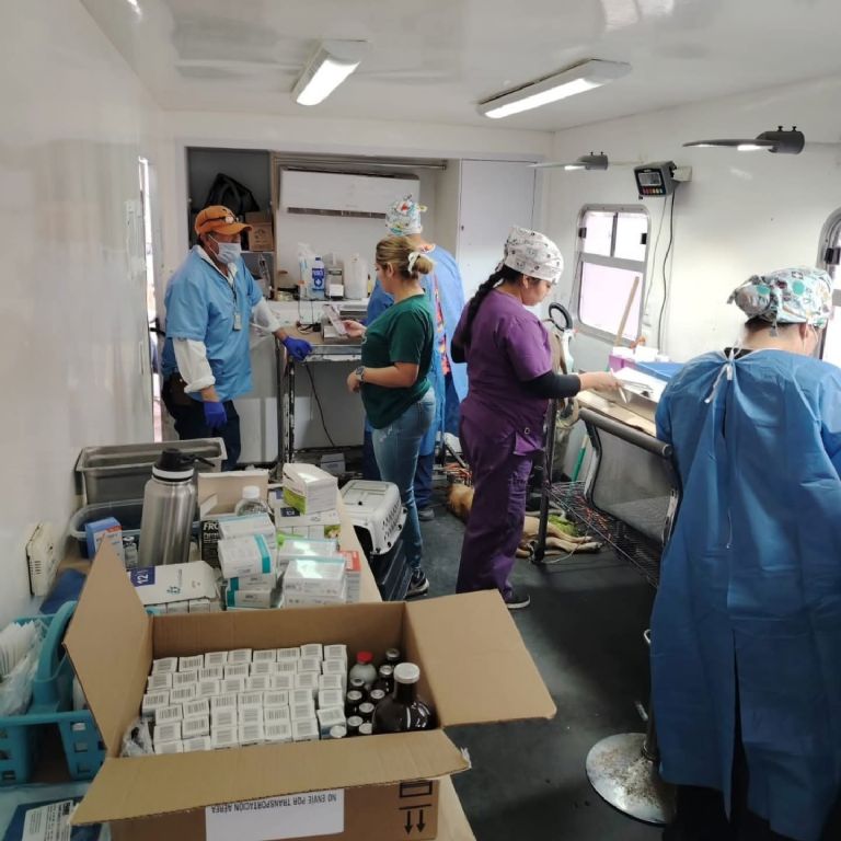 Desde la Unison en Sonora impulsan investigación en metalofármacos con potencial anticancerígeno