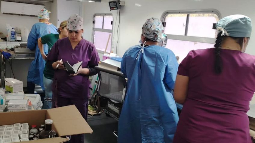 Desde la Unison en Sonora impulsan investigación en metalofármacos con potencial anticancerígeno