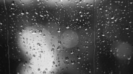 Foto que representa a Clima HOY miércoles 11 de marzo en la NOCHE: Prevén por LLUVIAS AISLADAS y CHUBASCOS para estas regiones