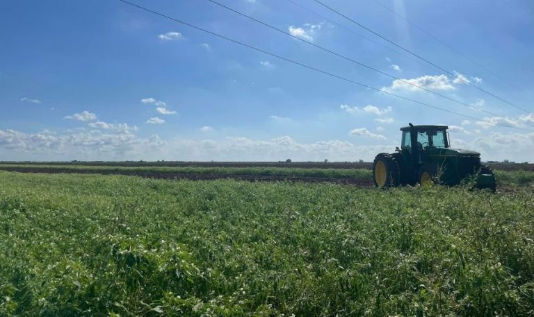 Reducción en la superficie de siembra del valle de Guaymas y Empalme es por tema cíclico