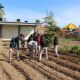 Gobierno de Sonora y Cobach implementan modelo de Escuela Agroecológica mediante huerto escolar
