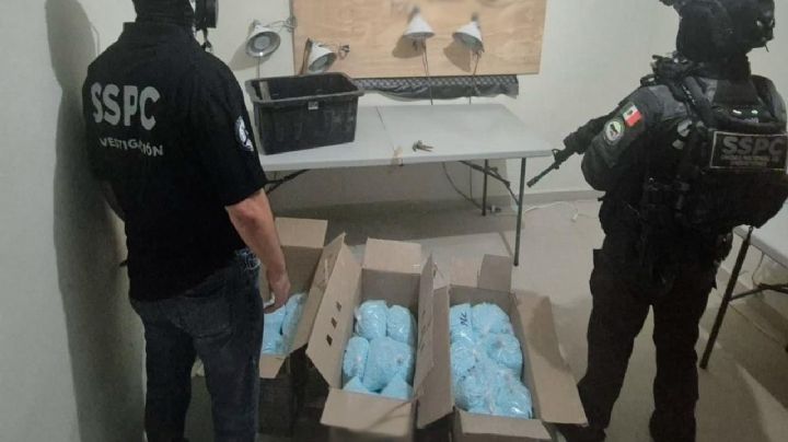 Con información de la DEA, autoridades dan duro GOLPE al narco en Colima: García Harfuch