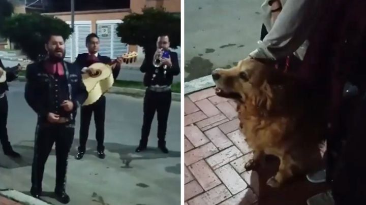 Con serenata, familia se despide de perrita antes de su eutanasia; así fue el emotivo momento
