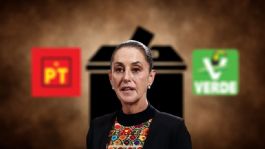 Foto que representa a "Retroceso democrático": PT Y PVEM no apoyan el Plan B de la Reforma Electoral