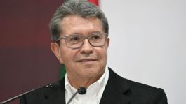 Foto que representa a Rosa Icela se encuentra en negociaciones con PT y PVEM sobre el Plan B de Reforma Electoral: Monreal