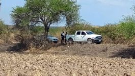 Foto que representa a Enfrentamiento armado en Guanajuato: Policías abaten a dos presuntos sicarios tras persecución
