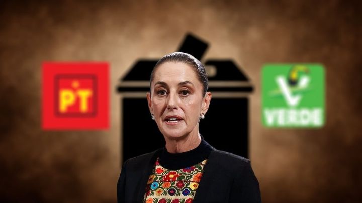 "Retroceso democrático": PT Y PVEM no apoyan el Plan B de la Reforma Electoral