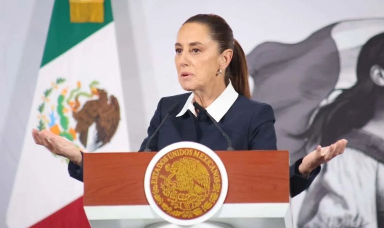 'Retroceso democrático': PT Y PVEM no apoyan el Plan B de la Reforma Electoral