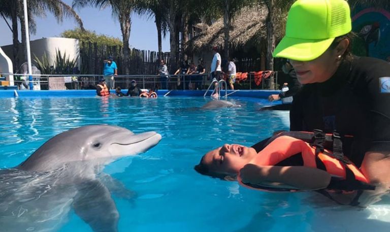 Gobierno de Sonora impulsa delfinoterapias destinadas a niñas y niños con discapacidad