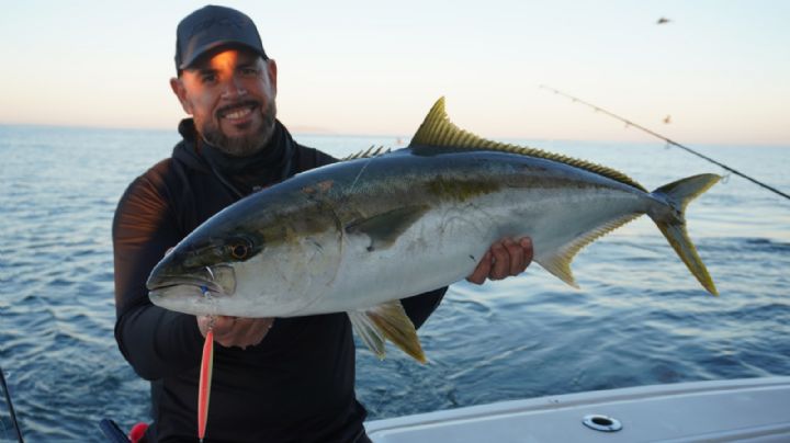 Buscan pescar al Más Grande con Maja desde San Carlos, Sonora