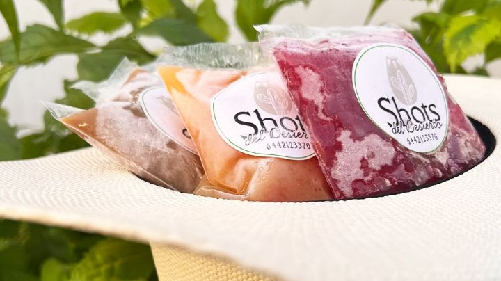 Helados con alma sonorense: Bacanora artesanal es reinventado por Sofía Vázquez