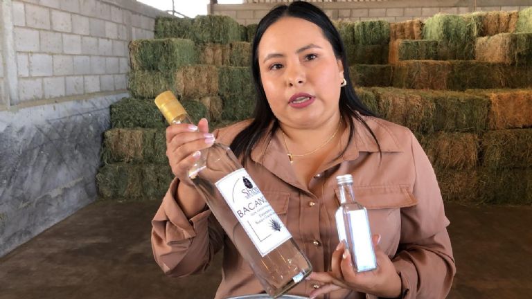 Helados con alma sonorense: Bacanora artesanal es reinventado por Sofía Vázquez