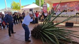 Foto que representa a Con éxito se realizó la séptima edición del Bacanora Fest en Rosario de Tesopaco, Sonora